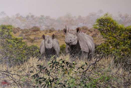 Black rhino mother and calf