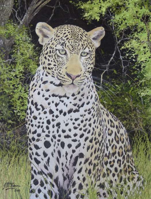 Leopard portrait