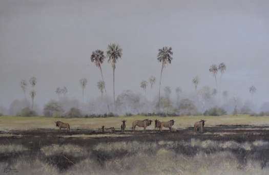 Misty Okavango morning