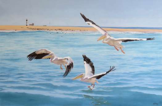 Pelicans over Walvis Bay